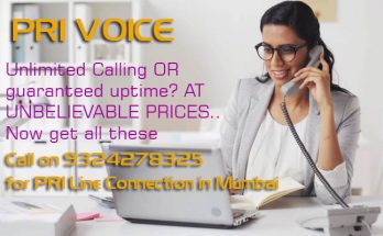 How Can PRI Line Help My Business? What is a ISDN PRI Voice and Advantages of PRI Line Connection Over an Analog Line