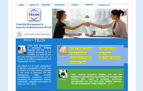 telosrisk.com